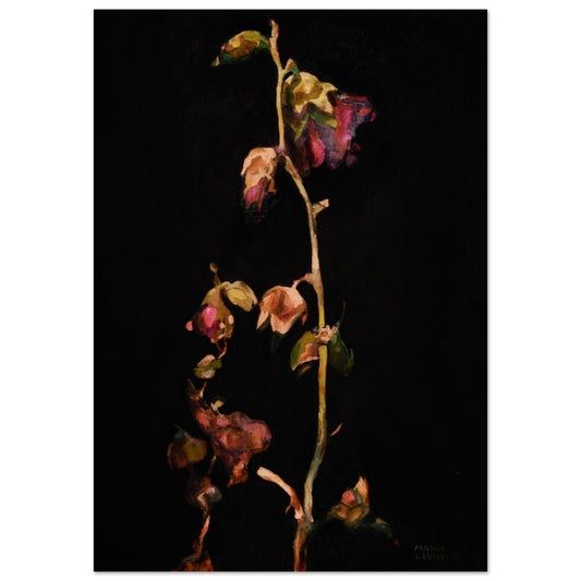 67127802-850d-4e76-9894-e492ab39d7e0