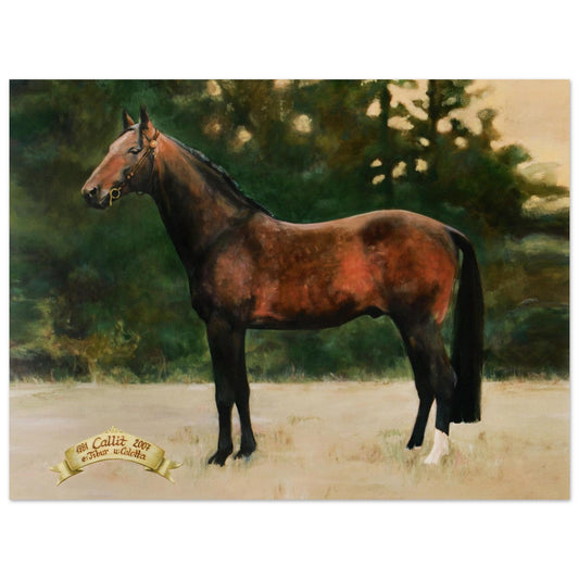 7dd6ddd9-db7b-451a-b2df-c2b74fa60ae9