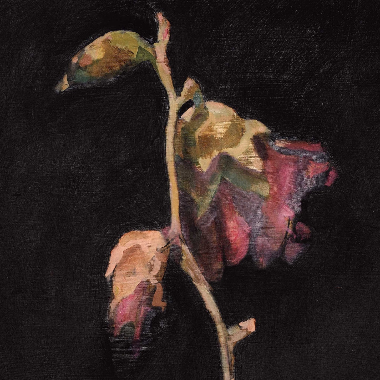 “Frozen Hollyhock” - Fine Art Poster