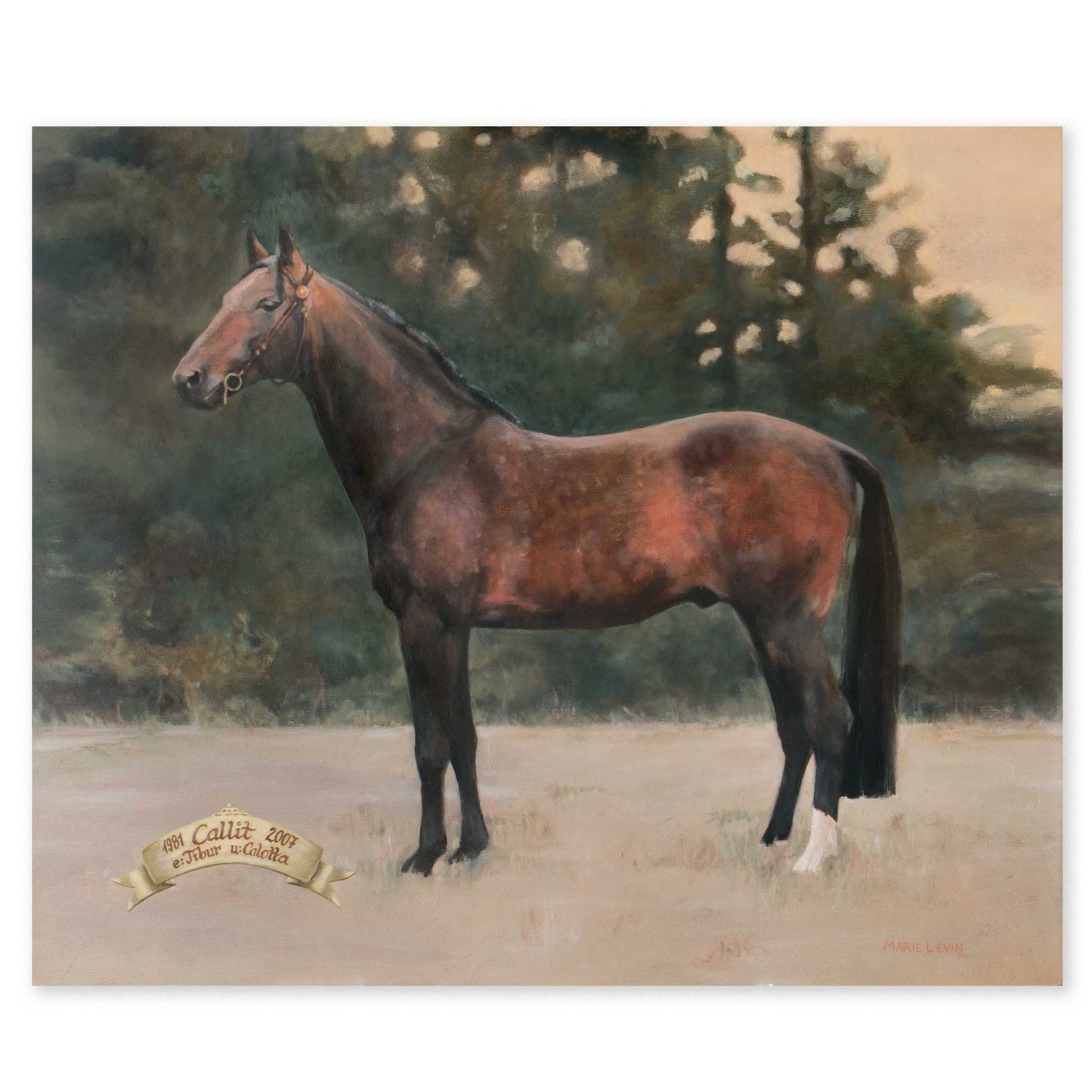 "Callit" - Fine Art Poster