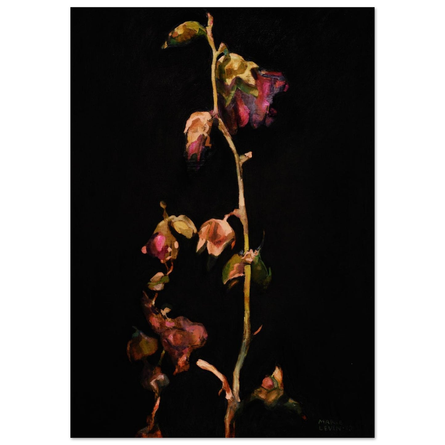 6e144a2f-7a2f-4516-82a8-f3d8ada7c842