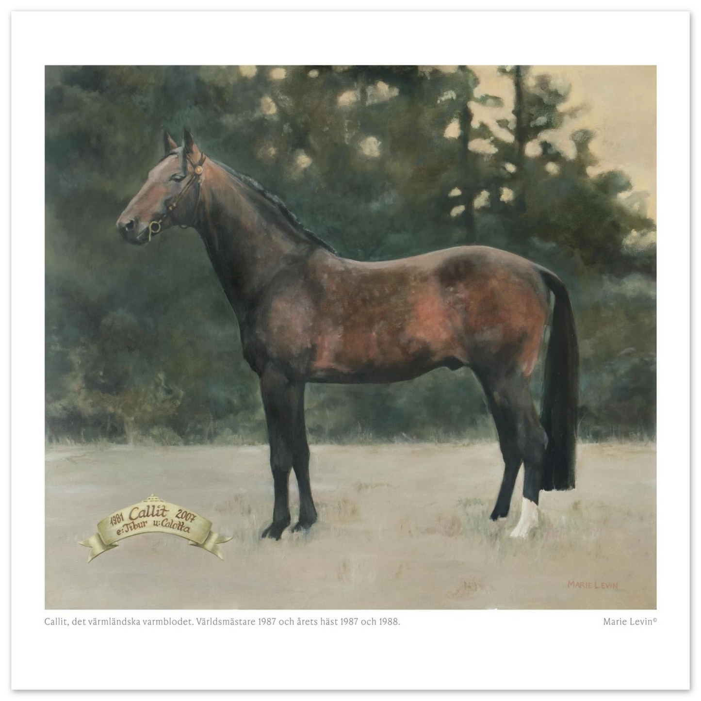 7dfcf977-2730-4ab3-83b1-ad9d3260d66d