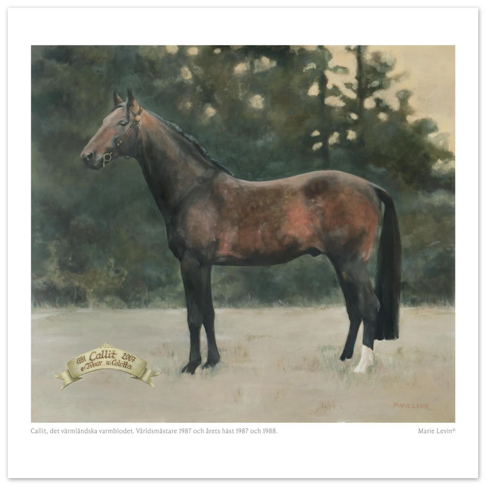 7dfcf977-2730-4ab3-83b1-ad9d3260d66d