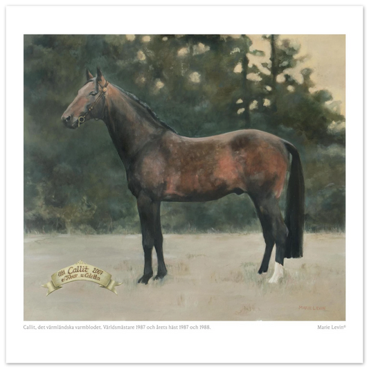 7dfcf977-2730-4ab3-83b1-ad9d3260d66d