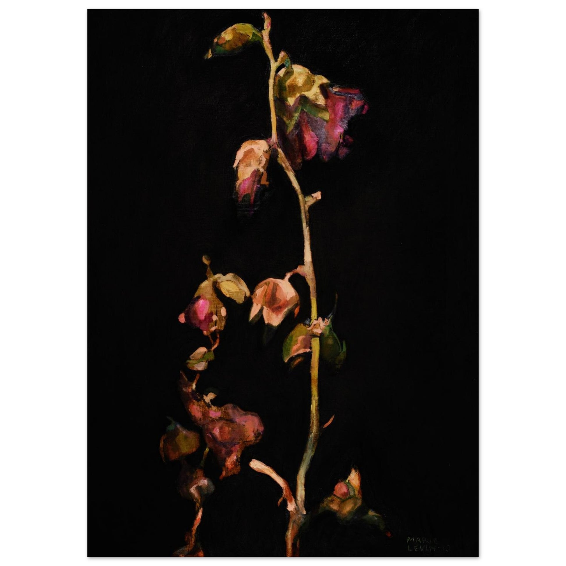 a3e910c7-d221-4b04-90cd-48cd739fa5d8