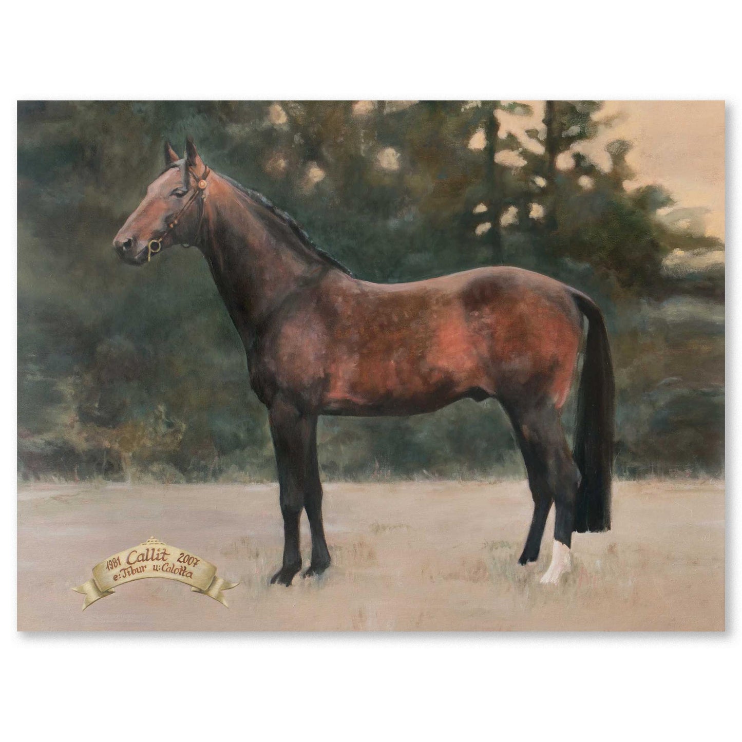 "Callit" - Premium poster