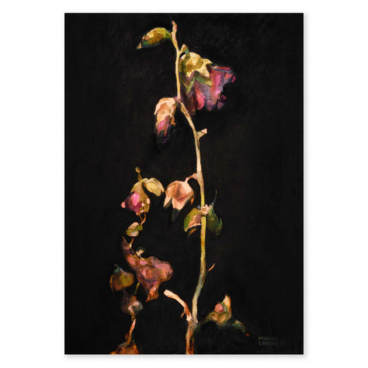 “Frozen Hollyhock” - Fine Art Poster